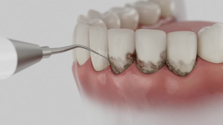 Reliable Dental contractor in Rocky Mount, NC by Dentist Open Now